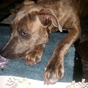 Meet your Posher, Miranda